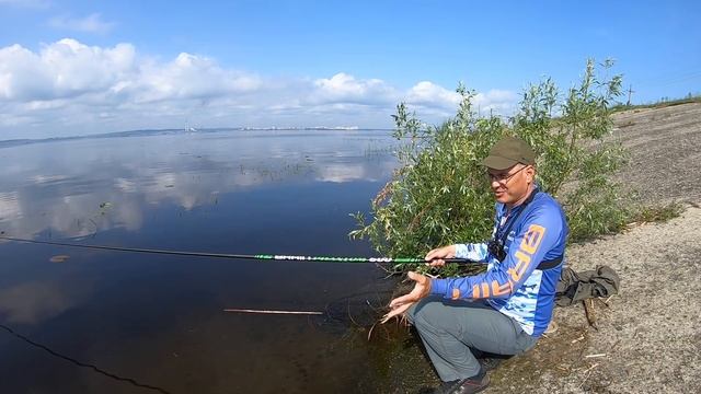 Рыба и Друзья