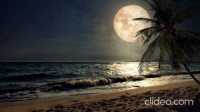 Расслабляющая Фортепианная Музыка Для Сна и Учебы • I'll Stay смотреть онлайн