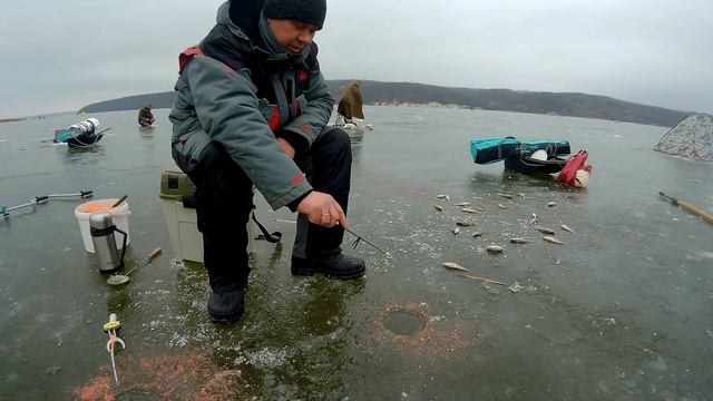 Окунь как с пулемёта! Зимняя рыбалка по первому льду на Оскольском водохранилище. смотреть онлайн