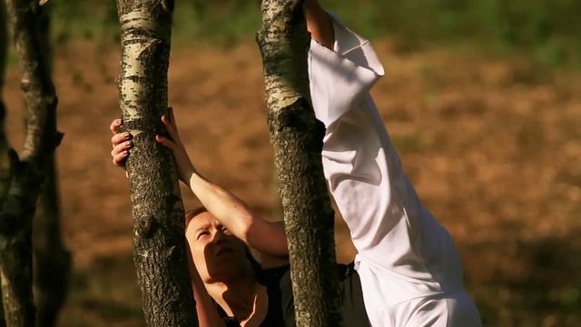 Energy of Capoeira - trailer смотреть онлайн