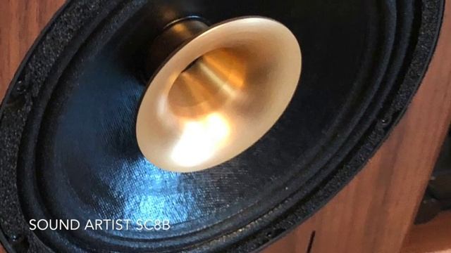 WiiM mini streamer (analogue out) - Sound Demo 2 смотреть онлайн