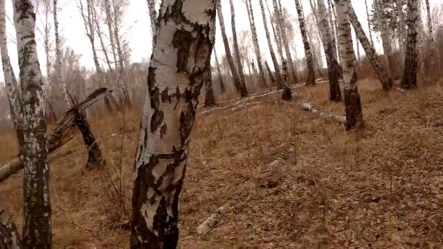 Первый Выезд смотреть онлайн