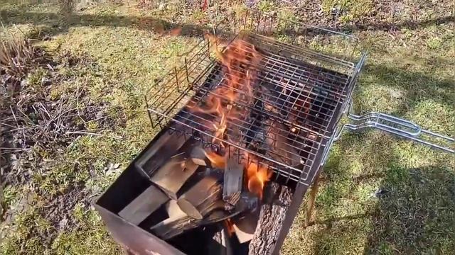 Карп на мангале смотреть онлайн