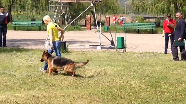Hloya z Azovskogo Berega - best Bitework.10.05.14, Mariupol смотреть онлайн