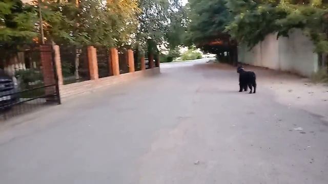 Прогулки по Астрахани. Набережная Варвациева канала, набережная Волги смотреть онлайн