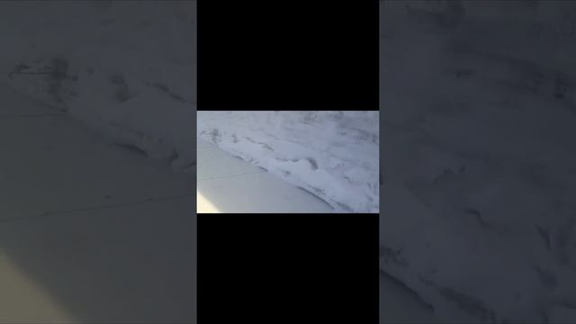 Купил 1в61 1962 года смотреть онлайн