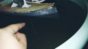 в «2» корабль из пластилина.
