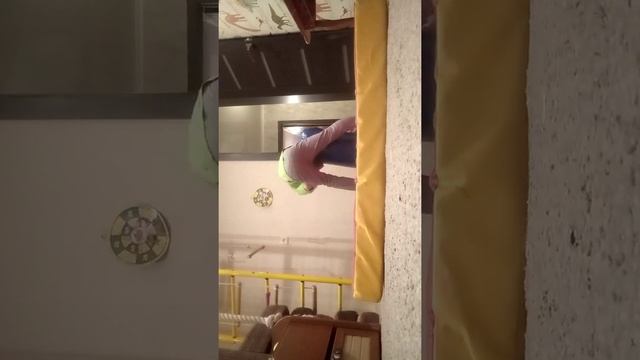 25 марта 2021 г. смотреть онлайн
