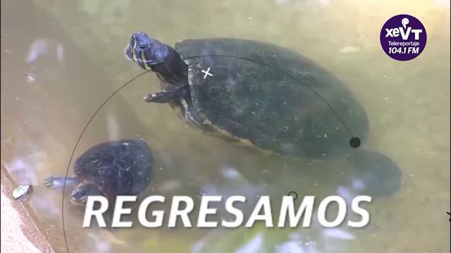 #Programa A FONDO, Con Chuy Sibilla 01/05/23 смотреть онлайн