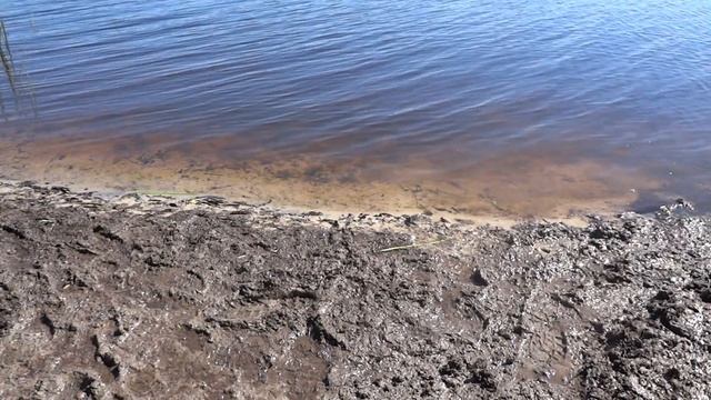 Рыбалка на донки в ожидании леща . Как ловить в запрет. смотреть онлайн