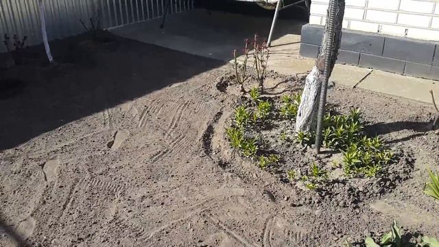 Обзор сада в апреле. смотреть онлайн