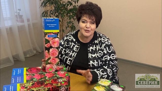 ЗИМОСТОЙКАЯ КРАСАВИЦА. КАНАДСКАЯ РОЗА. смотреть онлайн