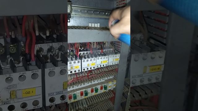 Демонстрация на производстве растительного масла. Под напряжением. Часть 3