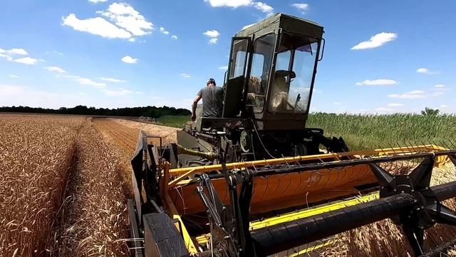 Уборка урожая 2022 набирает свои обороты! Яровой ячмень и многое другое. смотреть онлайн
