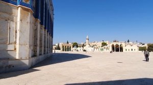 ХРАМОВАЯ ГОРА 20.11.2020