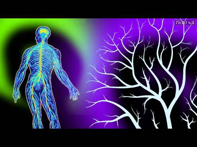 Зеркало моей души Том 1. Хорошо в стране советской жить... (часть 2) смотреть онлайн