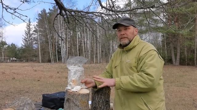 Мицелий. Где купить и как выбрать? Грибной бизнес. Вешенка. смотреть онлайн