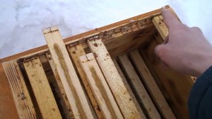 Пчеловодство.  Содержание Пчел в Улье Аббата Варрэ.