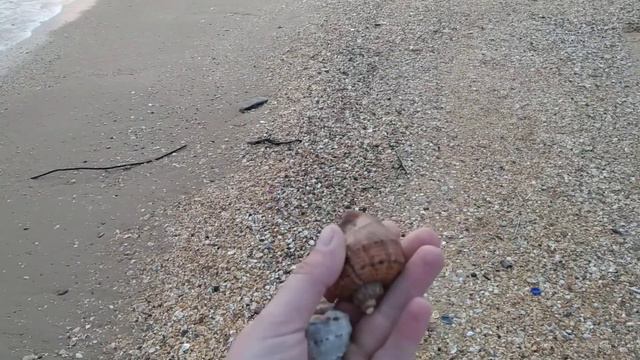 #ВИТЯЗЕВО Подарки на Витязевской косе. Морской закат. смотреть онлайн