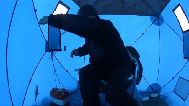 Аргази, Аракаево, чебак, зимняя рыбалка 14.01.2015 смотреть онлайн