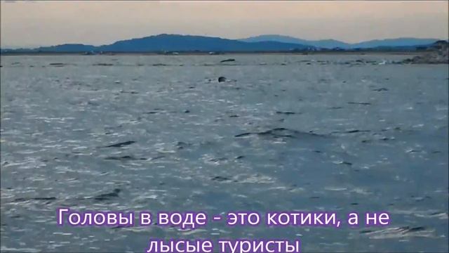 Море-Дастер. Юг Приморья. Бухта Лукина смотреть онлайн
