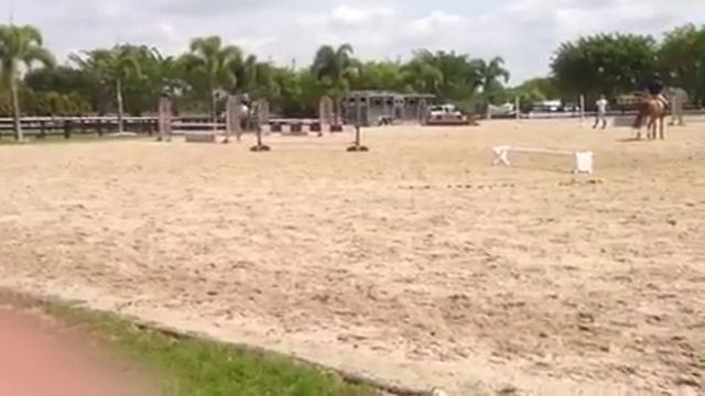 Sav and bravo s смотреть онлайн