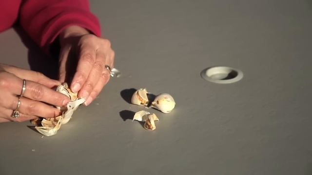 How to Peel Garlic Before Planting : Planting Garlic & Gardening Tips смотреть онлайн