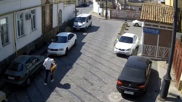 Выгуливаем тигра смотреть онлайн