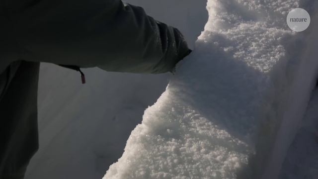 Explaining the icy mystery of the Dyatlov Pass deaths смотреть онлайн