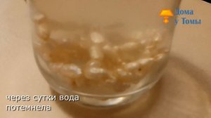 Почистила жемчужные бусы по совету бабушки старым советским способом
