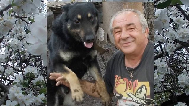 Счастливого пути смотреть онлайн