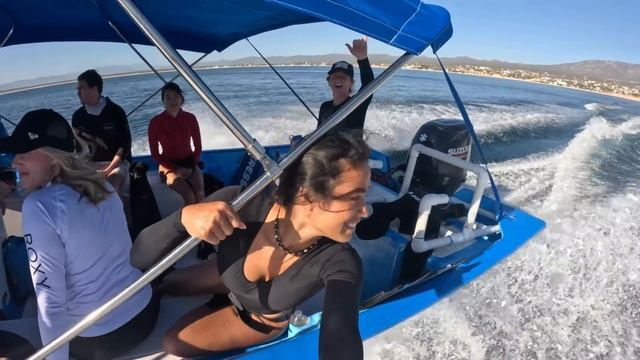 THE “AQUARIUM OF THE WORLD”? swimming with whales, dolphins, mobula rays смотреть онлайн