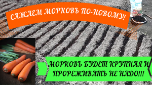 САЖАЕМ МОРКОВЬ ПО-НОВОМУ!МОРКОВЬ БУДЕТ КРУПНАЯ И ПРОРЕЖИВАТЬ НЕ НАДО!#морковь#посадкаморкови#прорежи