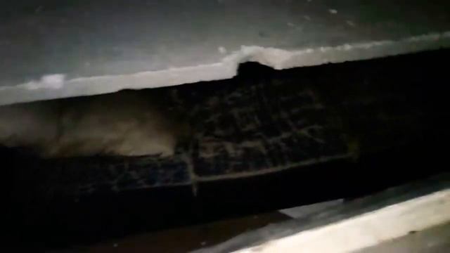 Заброшеный кальян Бар смотреть онлайн