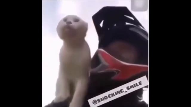 Способы борьбы с Синдромом Хронической Усталости. А вам слабо!? смотреть онлайн
