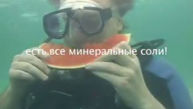 Подводный праздник. День Рождения Короля смотреть онлайн