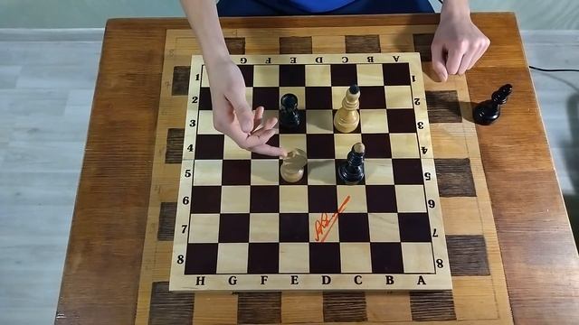 Шахматы для начинающих урок 2 | "Шах" и "Мат" смотреть онлайн