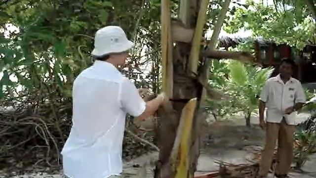 Кривой нож хозяйственно-бытового назначения смотреть онлайн