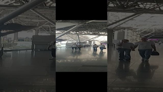 20230702_Аэропорт Внуково. А где туалет смотреть онлайн