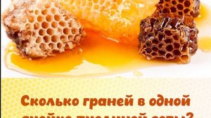 «Медовая викторина», посвященная Медовому спасу