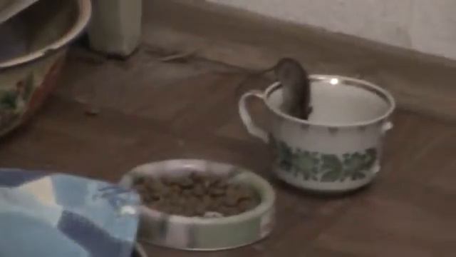 Бэзобразие смотреть онлайн