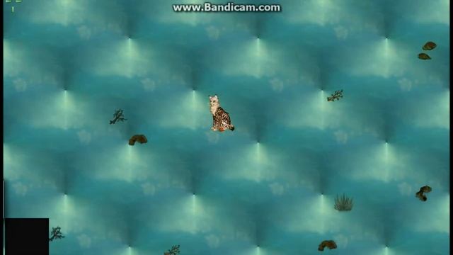 Поймала первую рыбку OwO [CatWar] смотреть онлайн