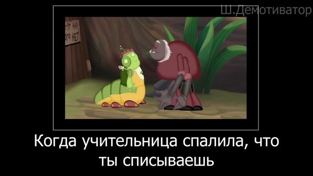 МУД ЛУНТИК (Потеря памяти) ДЕМОТИВАТОР 15 смотреть онлайн