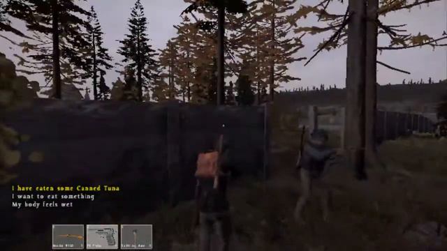 DayZ Série #2 - A rara MP5 ft. Bolado e Host смотреть онлайн