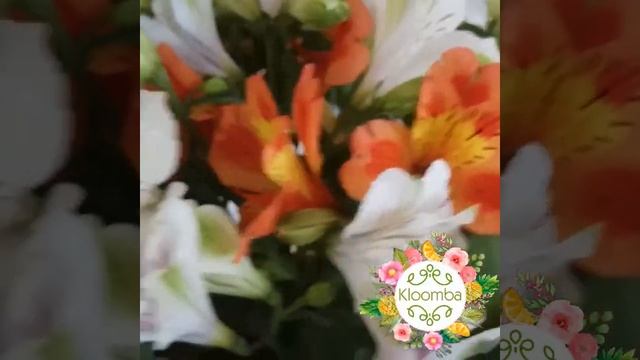 Нежное сочетание цветов смотреть онлайн