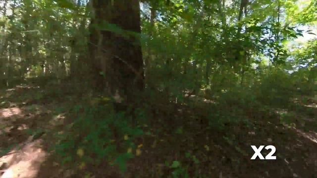 GoPro HERO 10 vs Insta360 GO 2 vs ONE X2 vs ONE R 1-inch! смотреть онлайн