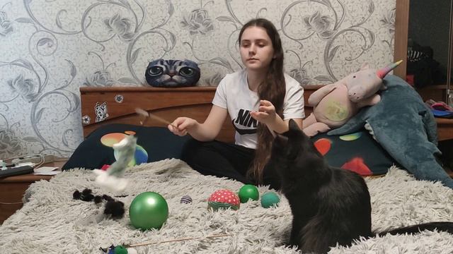 какие игрушки нужны для котёнка или кота смотреть онлайн