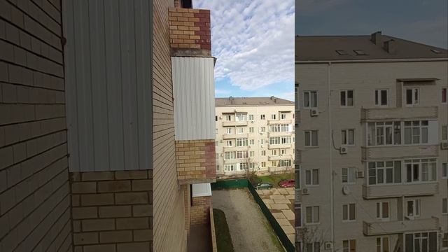 Голуби живут в квартире😏 смотреть онлайн