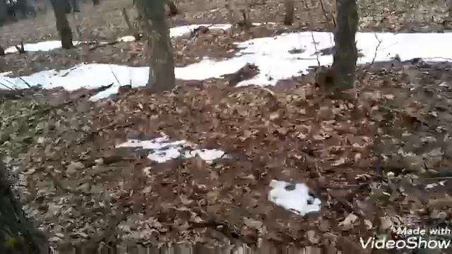 Коп как он есть. смотреть онлайн