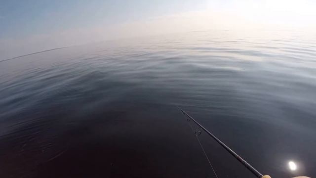 ОКУНЬ КЛЮЁТ НА КАЖДОМ ЗАБРОСЕ! Рыбалка на Рыбинском Водохранилище смотреть онлайн
